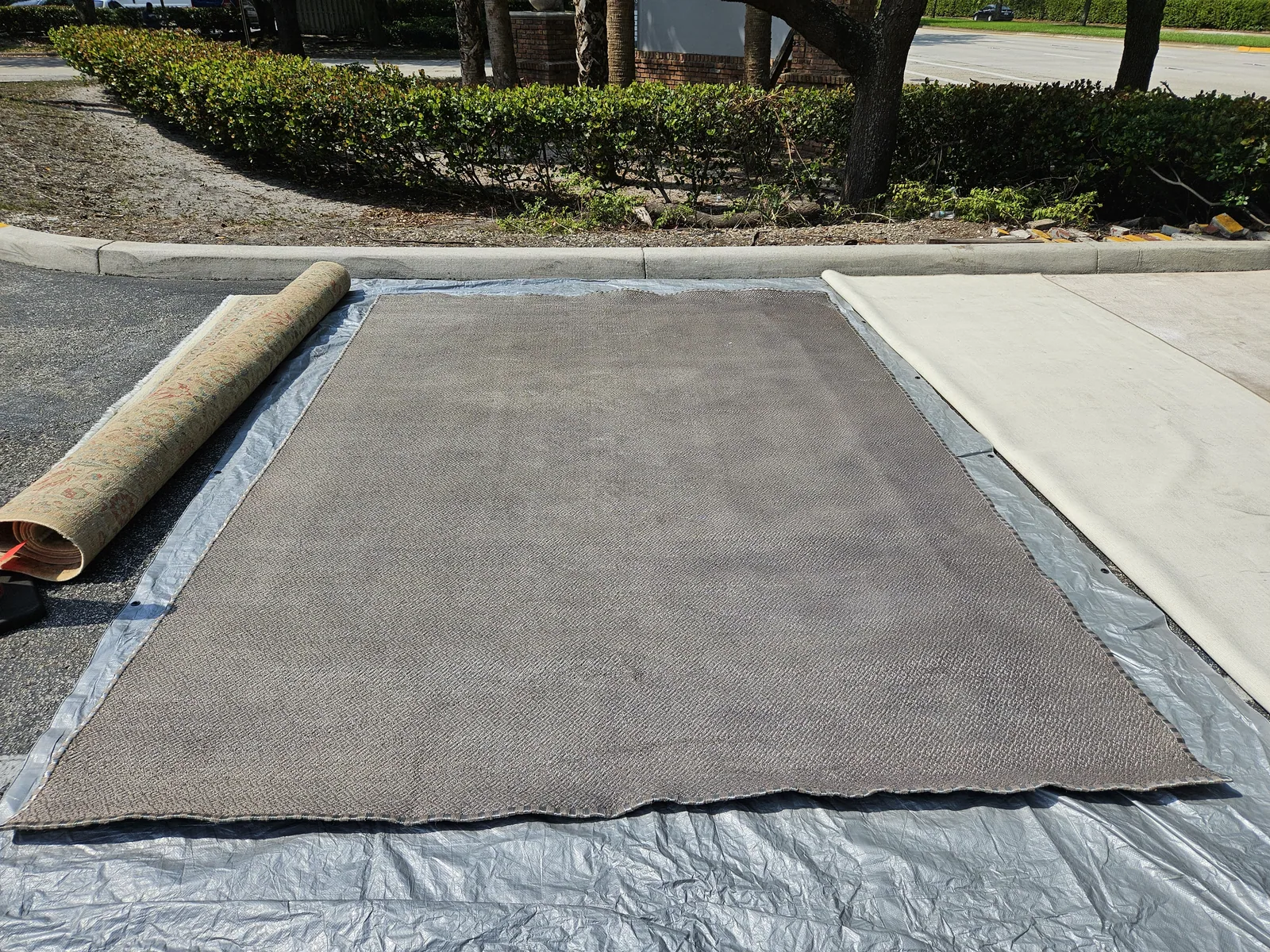 A rug laid out at the plant in Aventura